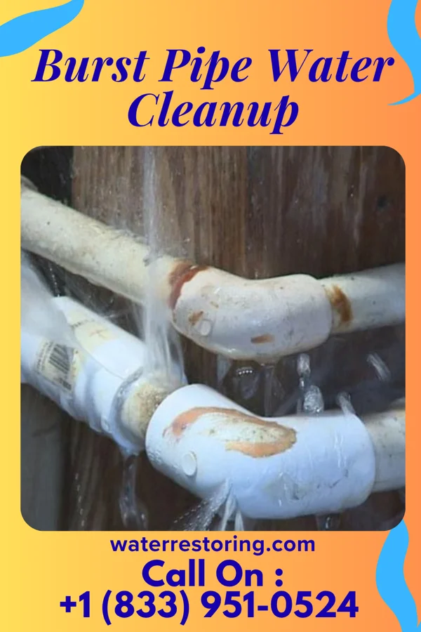 Burst Pipe Water Cleanup in Lillington, NC