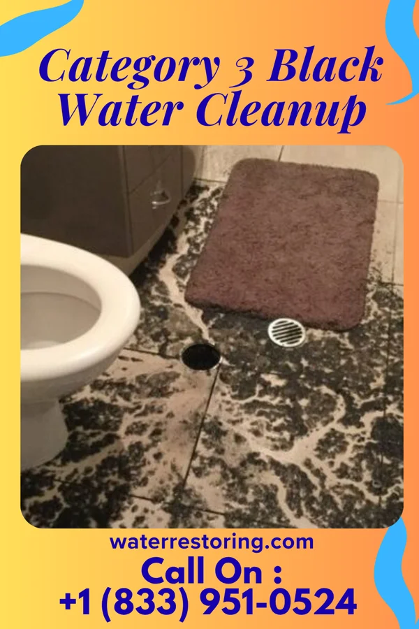 Category 3 Black Water Cleanup in Lillington, NC