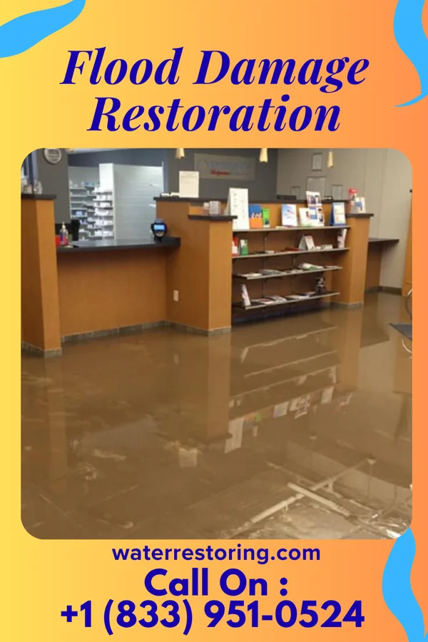 Flood Damage Restoration in Lillington, NC