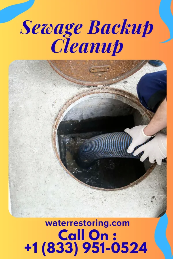 Sewage Backup Cleanup in Lillington, NC