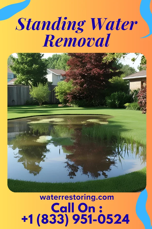 Standing Water Removal in Lillington, NC